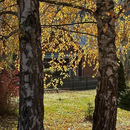 Csillagvirag Chaletu